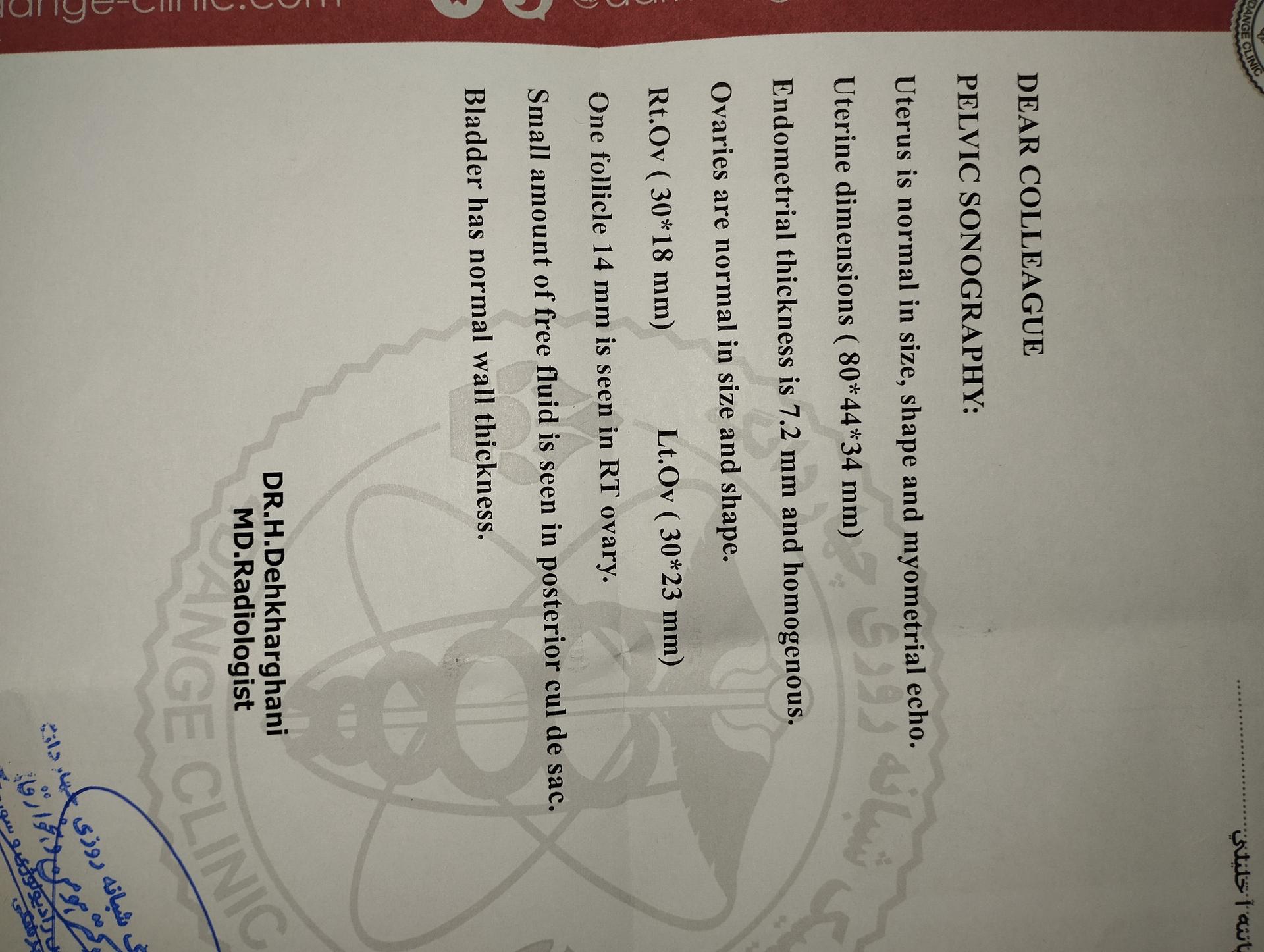 تصویر  سونوگرافی 