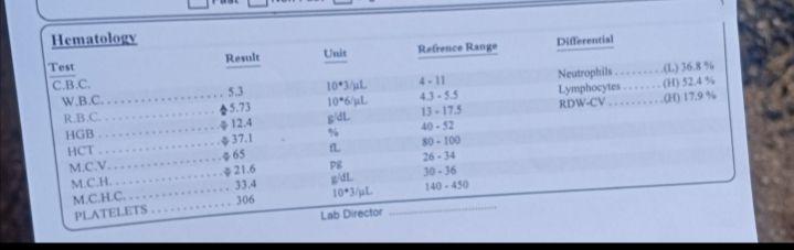 تصویر  ازمایش خون