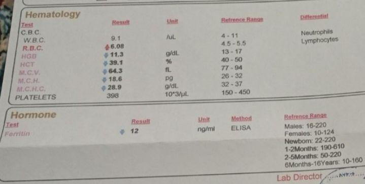 تصویر  ازمایش خون