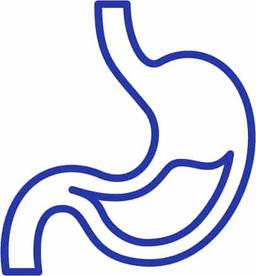 بیماری‌های گوارش و کبد بزرگسالان