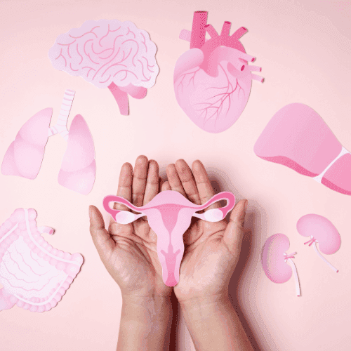 تصویر کاور انجمن سلامت واژن