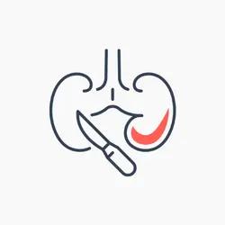 جراحی کلیه، مجاری ادراری و تناسلی (اورولوژی)