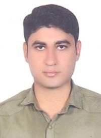 دکتر حمید شیبانی پور