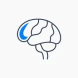 مغز و اعصاب (نورولوژی)