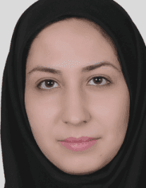 مینا نیروکار