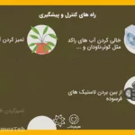 پشه آئدس