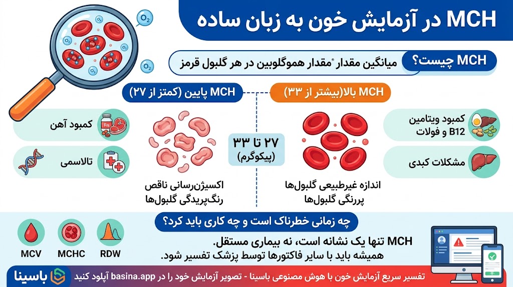 MCH در آزمایش خون